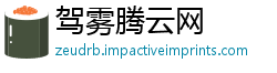 驾雾腾云网